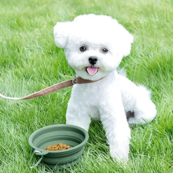 Silicone Foldable Pet Bowl 400/1000ml for Portable Travel Dog Water Food Bowl BPA Free Feeding - Image 6
