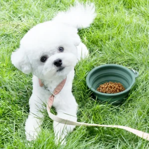 Silicone Foldable Pet Bowl 400/1000ml for Portable Travel Dog Water Food Bowl BPA Free Feeding