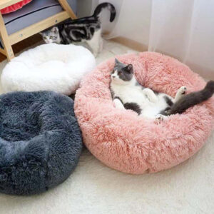 Rena Soft Pet Bed – Cozy & Affordable Comfort for Cats and Dogs