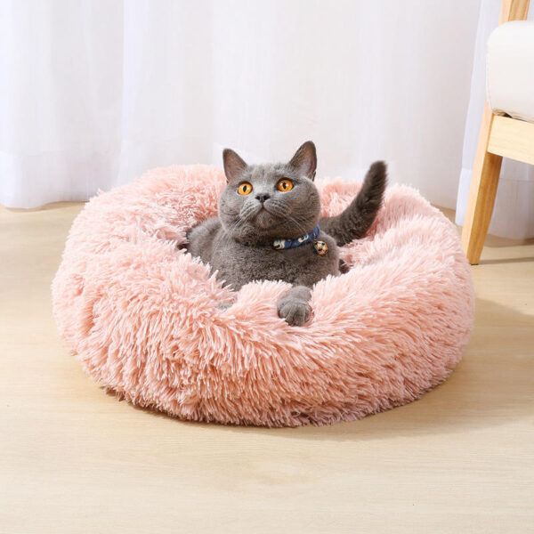 Rena Soft Pet Bed – Cozy & Affordable Comfort for Cats and Dogs - Image 2
