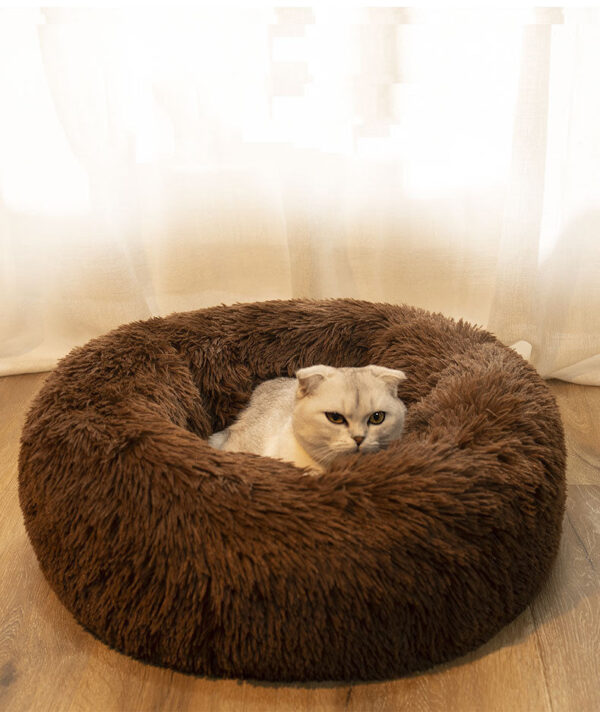 Rena Soft Pet Bed – Cozy & Affordable Comfort for Cats and Dogs - Image 7